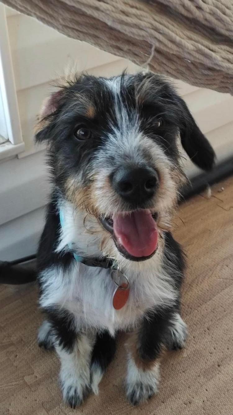 About the  campaign on Bonfire 4