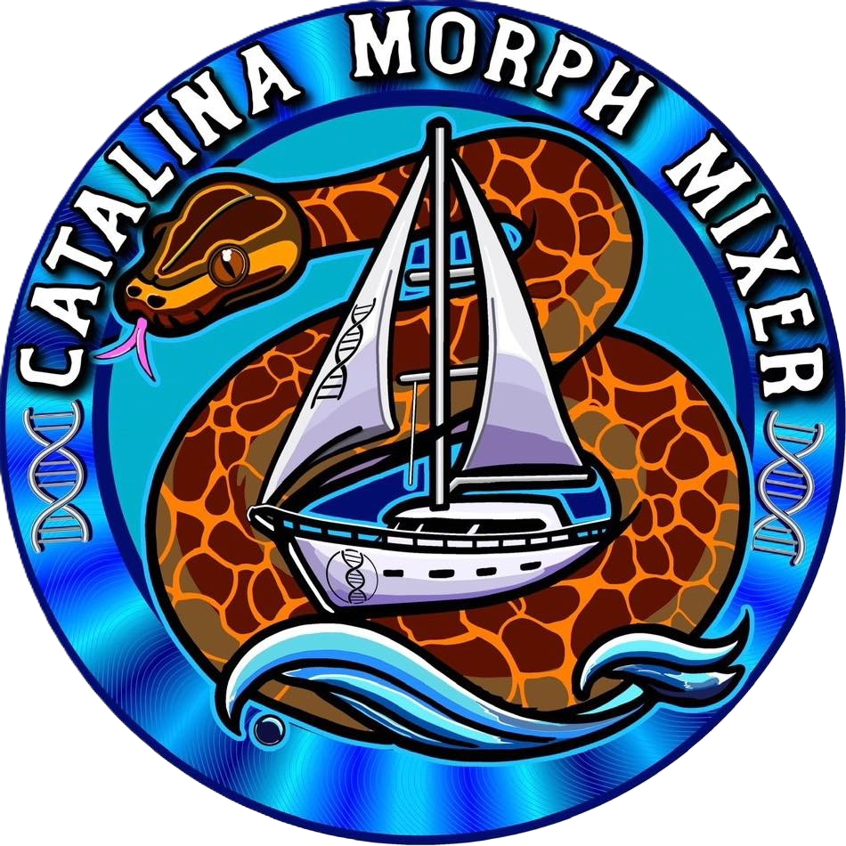 About the Hiss Happens campaign on Bonfire 2