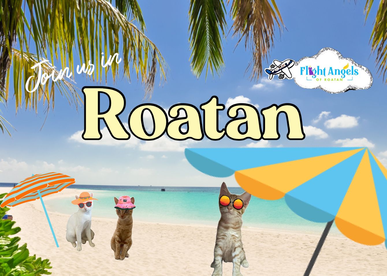 About the Flight Angels of Roatan campaign on Bonfire 2