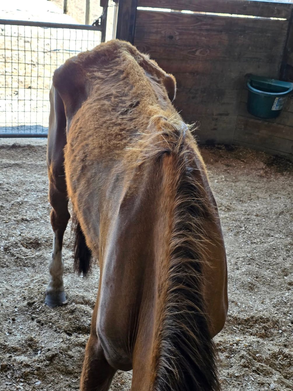 About the Help us Help Them!&nbsp; campaign on Bonfire 4