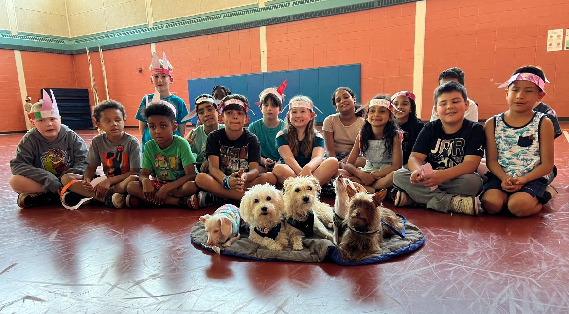 About the Colorful Piglet Mindset Word Shirt campaign on Bonfire 2