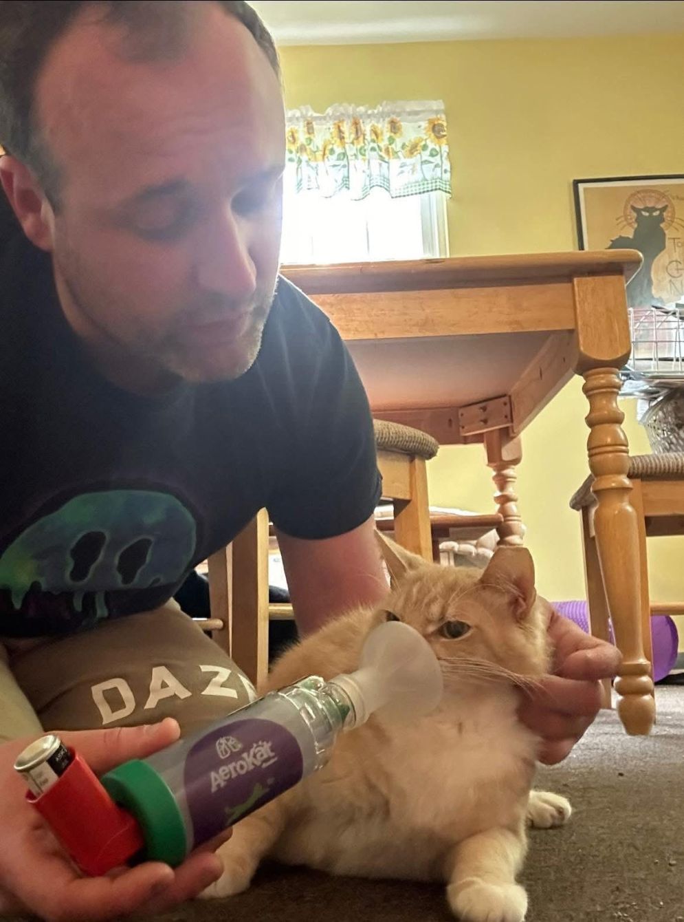 About the Save the Strays with Matt?s Cats campaign on Bonfire 3