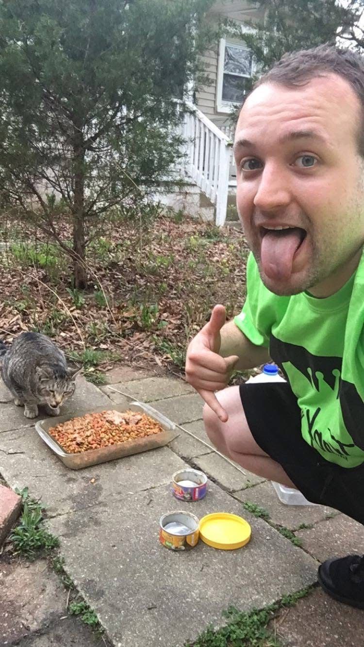 About the Save the Strays with Matt?s Cats campaign on Bonfire 2