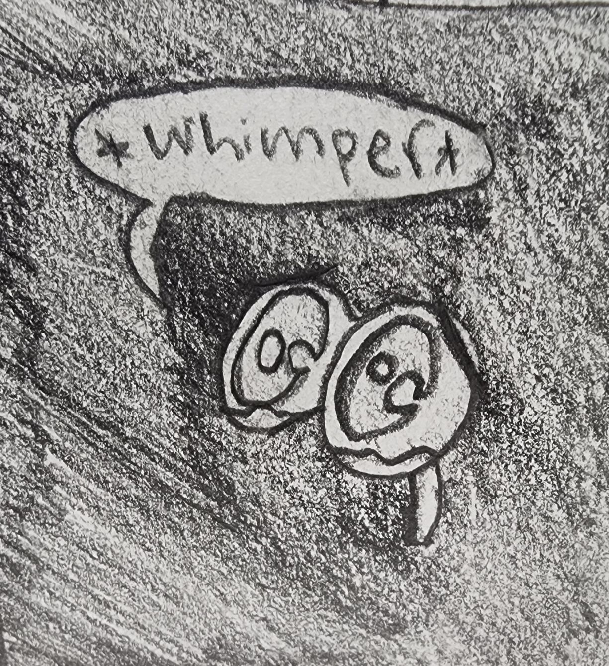 About the  campaign on Bonfire 2