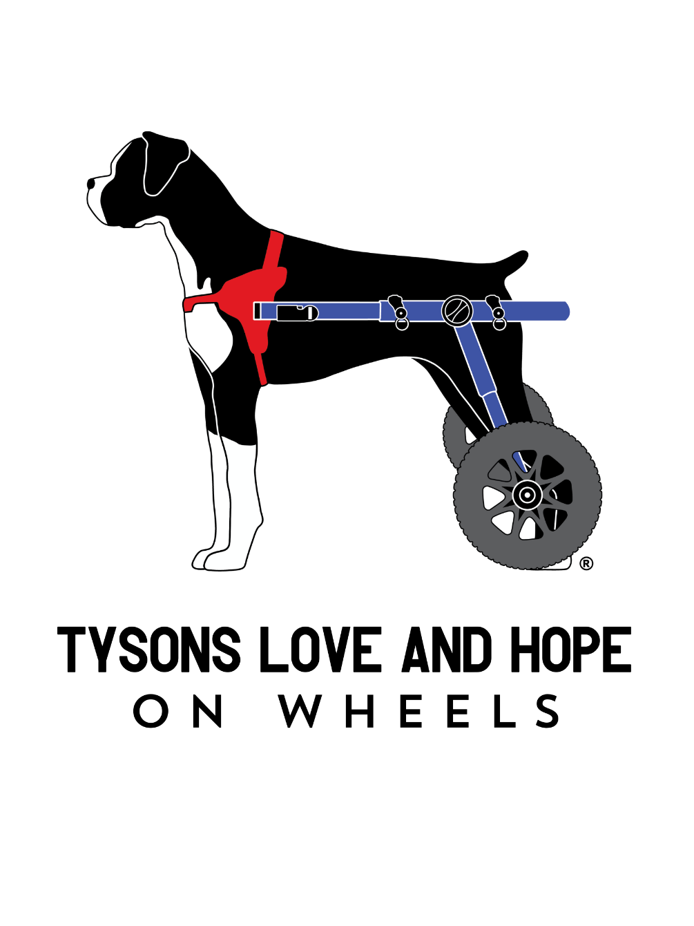 About the  campaign on Bonfire 2