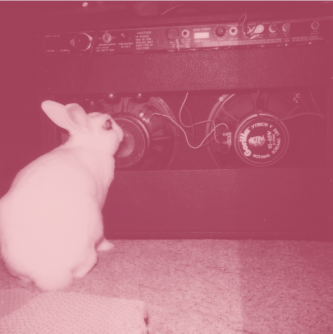 About the Hare Metal (but pink!) campaign on Bonfire 2