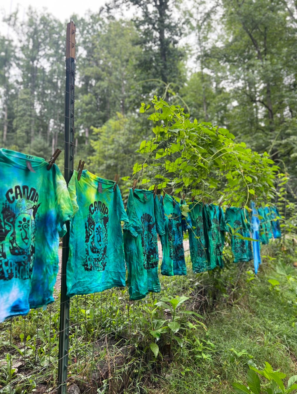 About the  campaign on Bonfire 2