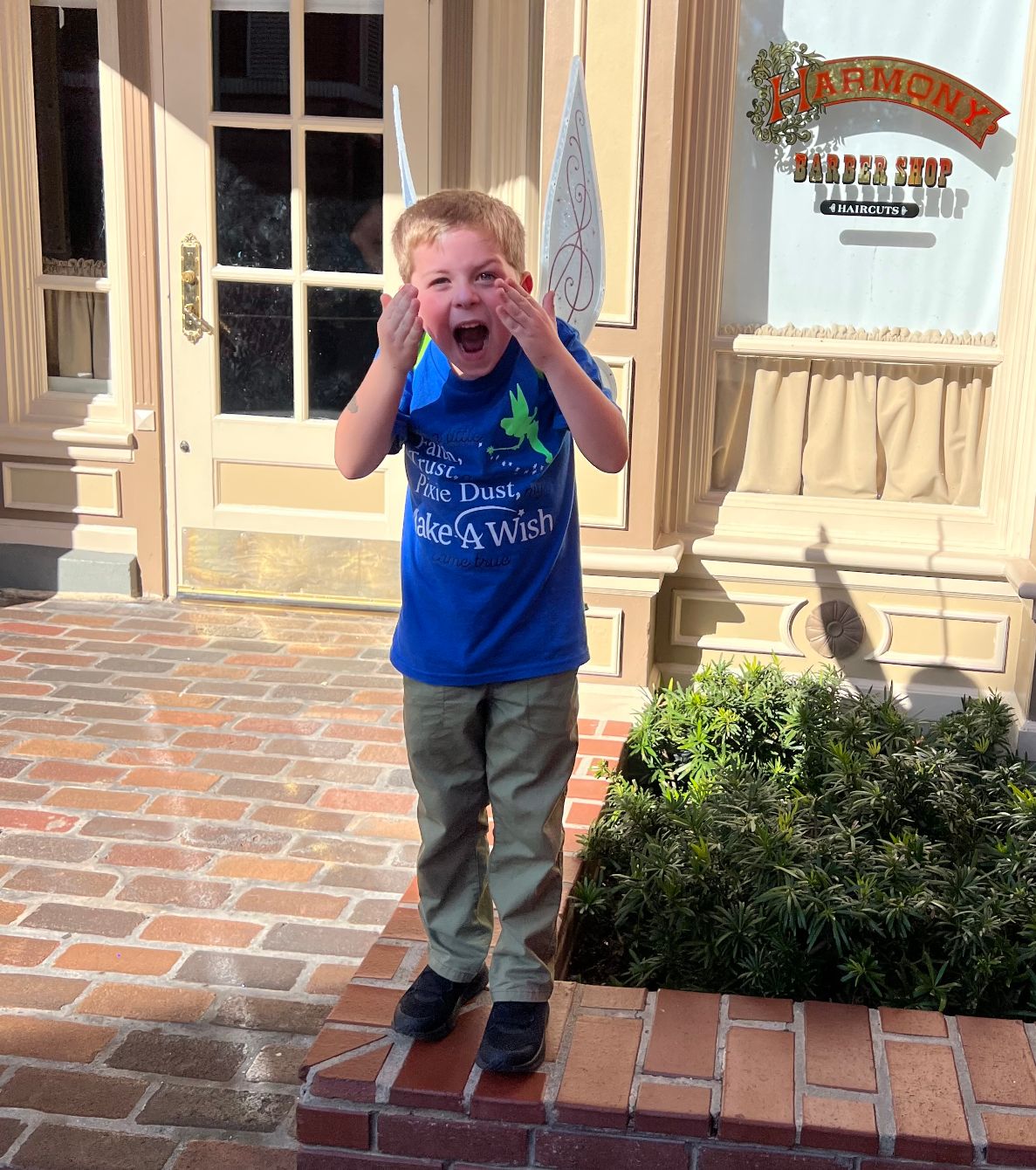 About the Go Gabe Go campaign on Bonfire 4