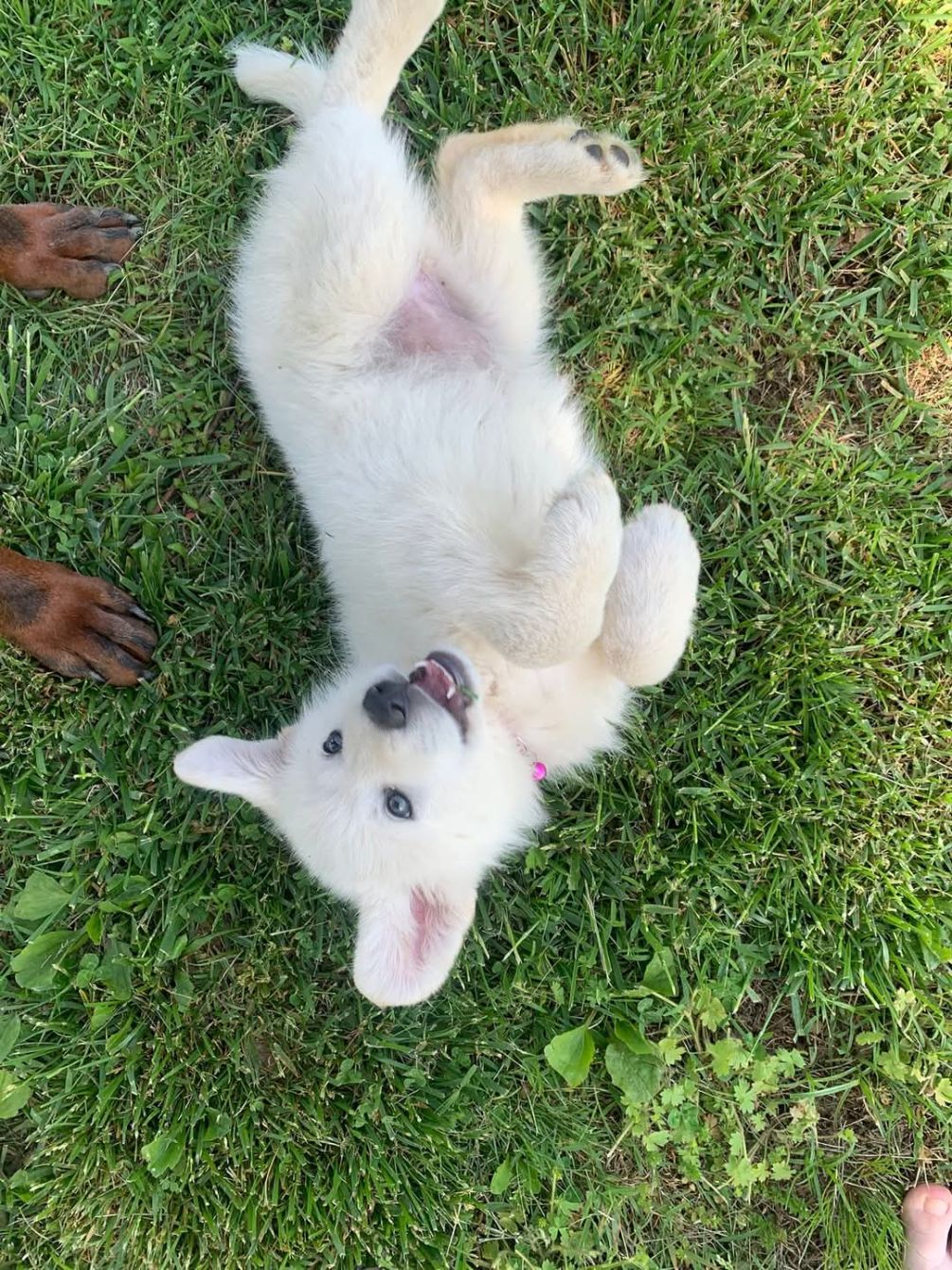 About the 3rd Summer t-shirt fundraiser&nbsp; campaign on Bonfire 2