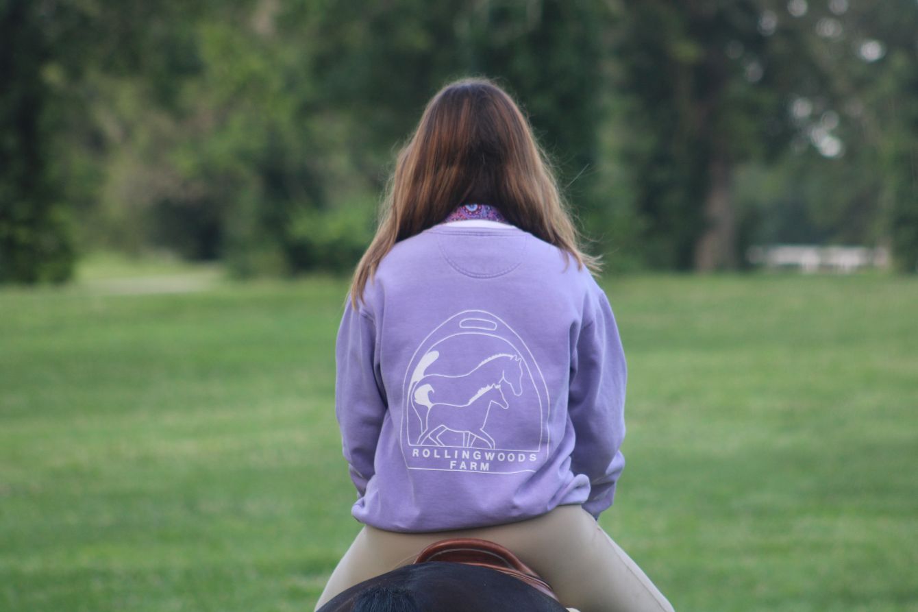 About the  campaign on Bonfire 2