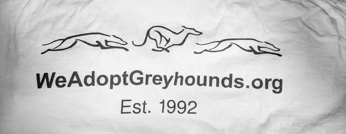 About the 30th Anniversary Greyhounds Shirt campaign on Bonfire 3