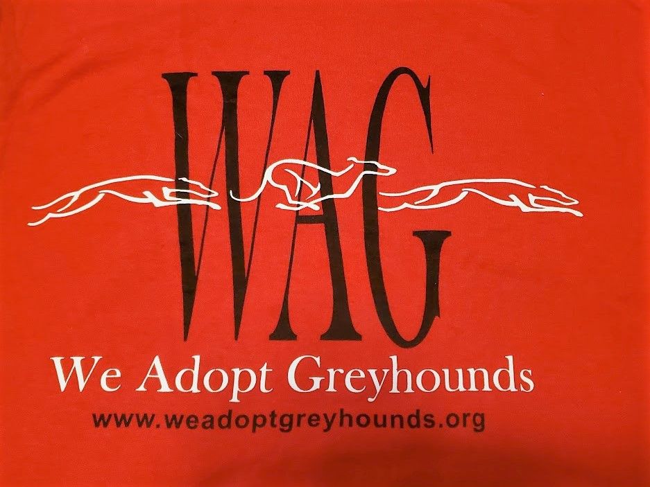 About the 30th Anniversary Greyhounds Shirt campaign on Bonfire 2