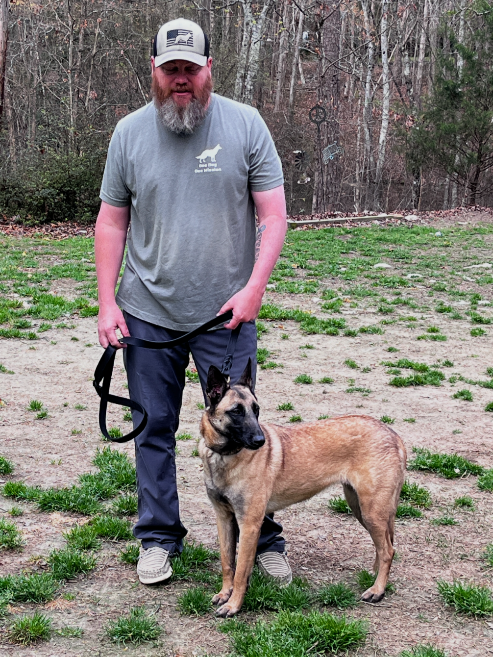 About the Lilly Bear has a special mission campaign on Bonfire 3