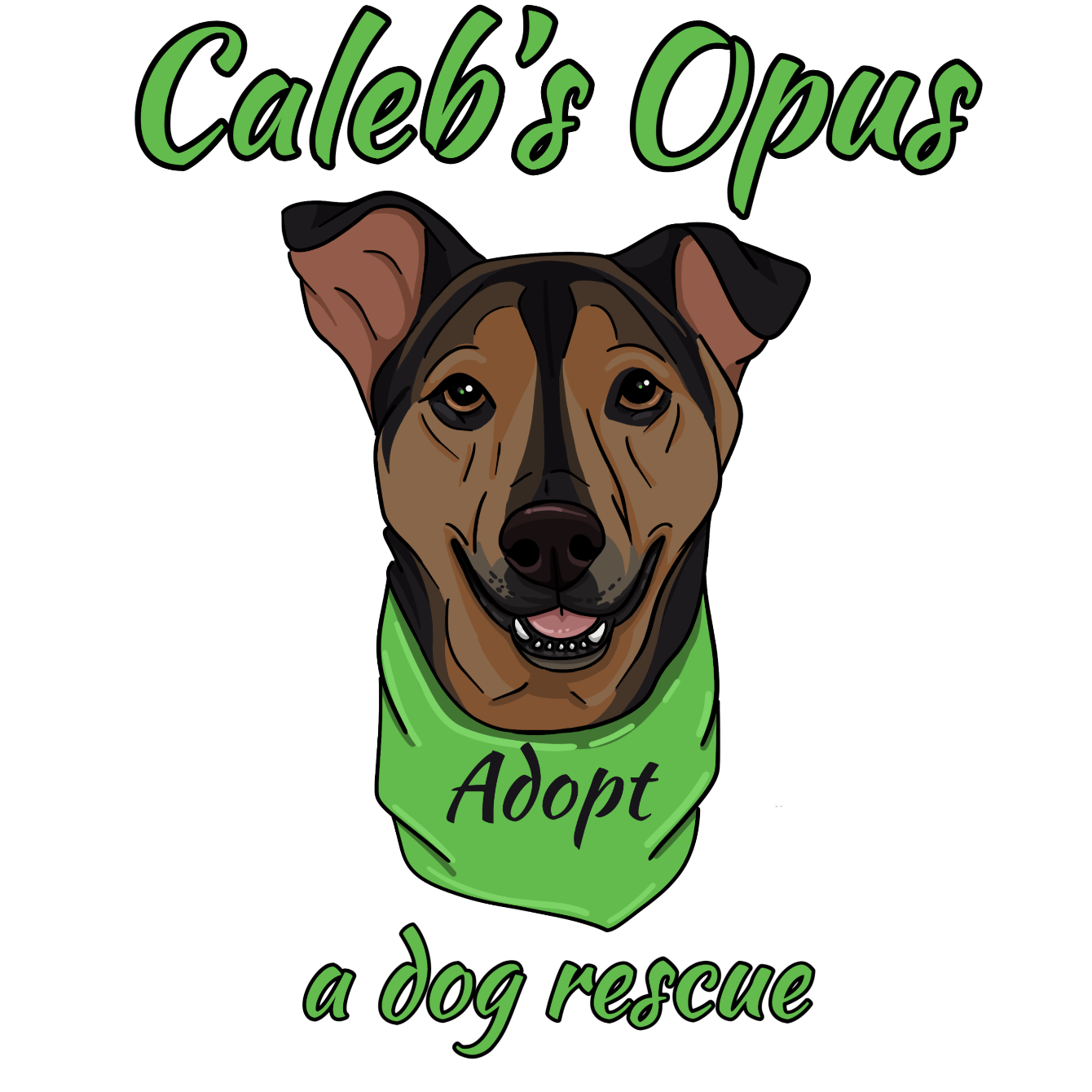 About the  campaign on Bonfire 2