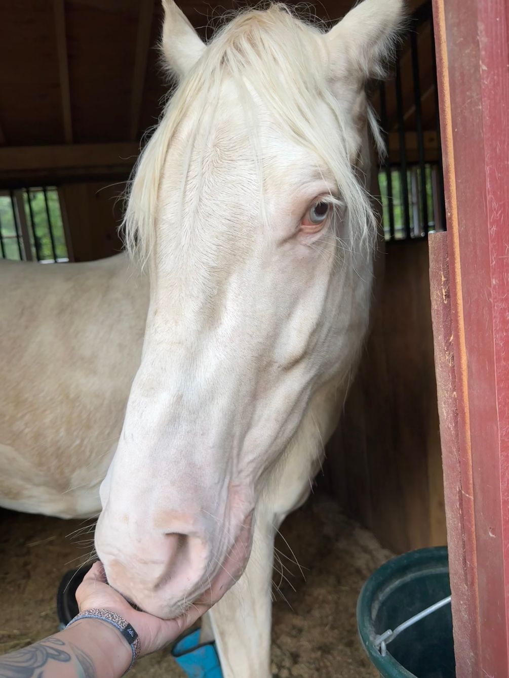 About the Thank You for Supporting Our Farm campaign on Bonfire 5