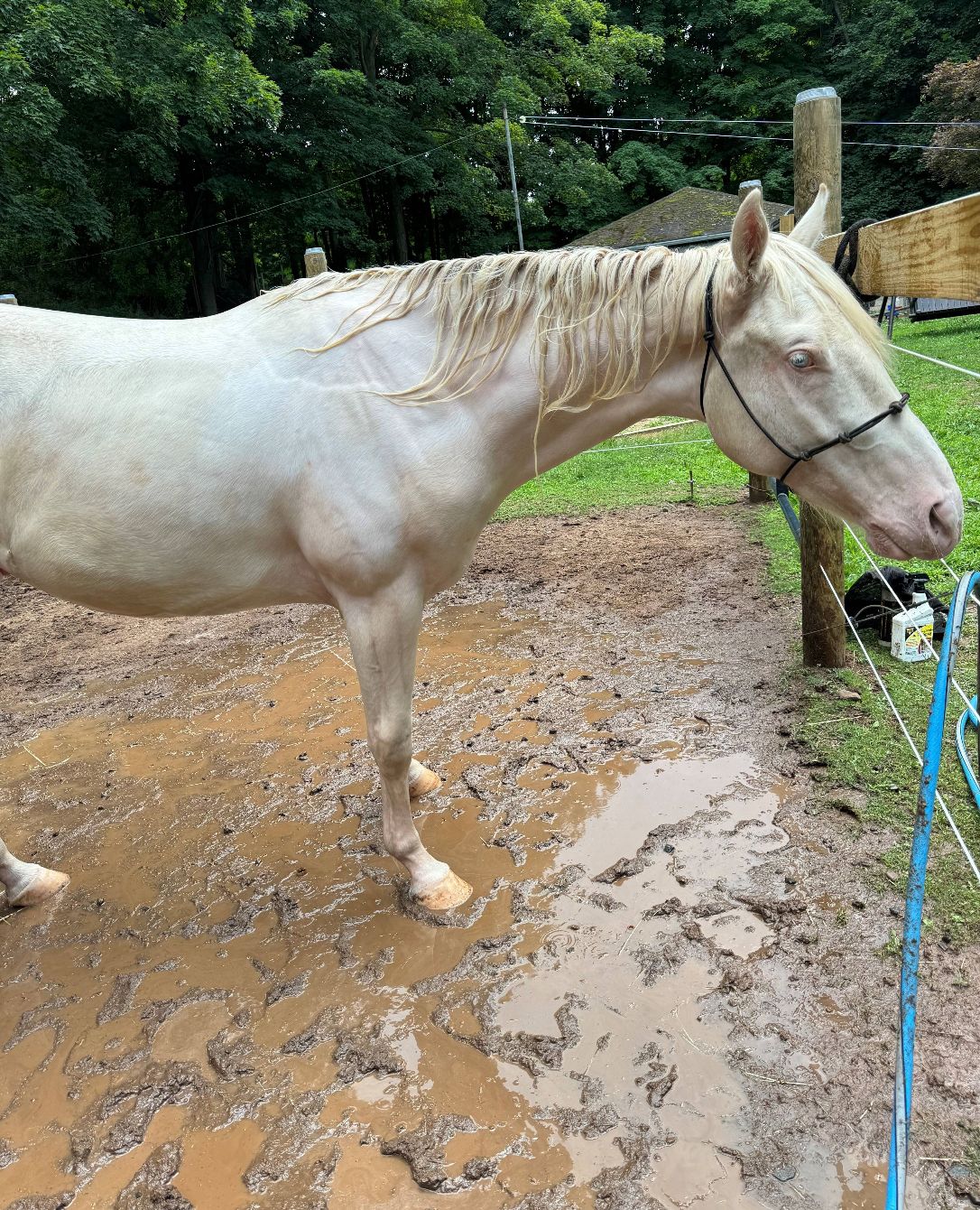 About the Thank You for Supporting Our Farm campaign on Bonfire 0