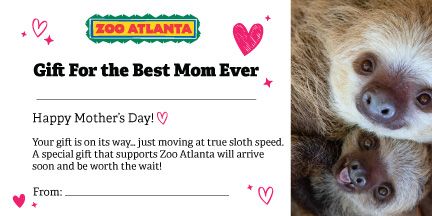 About the Zoo Atlanta Sloth T-Shirt Fundraiser campaign on Bonfire 2