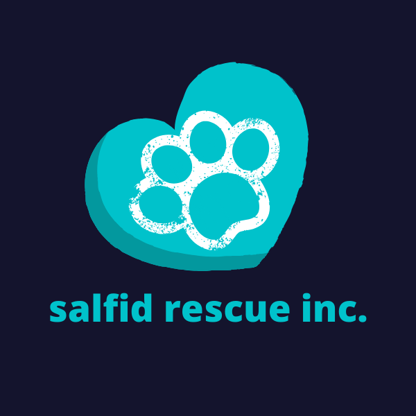 About the Rescue. Adopt. Love. campaign on Bonfire 2