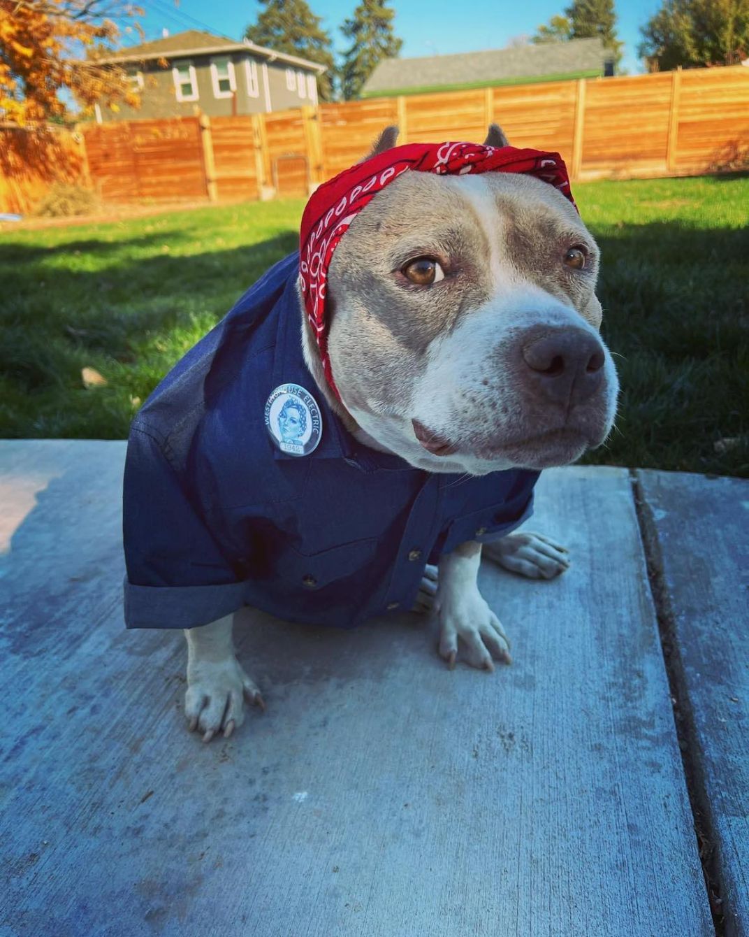 About the Let's Celebrate Betty! campaign on Bonfire 5