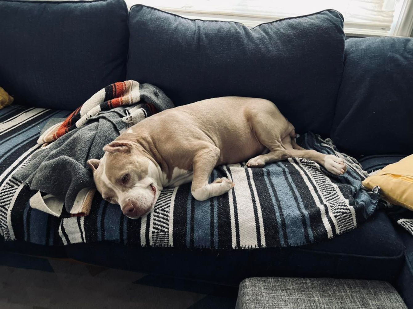 About the Let's Celebrate Betty! campaign on Bonfire 4