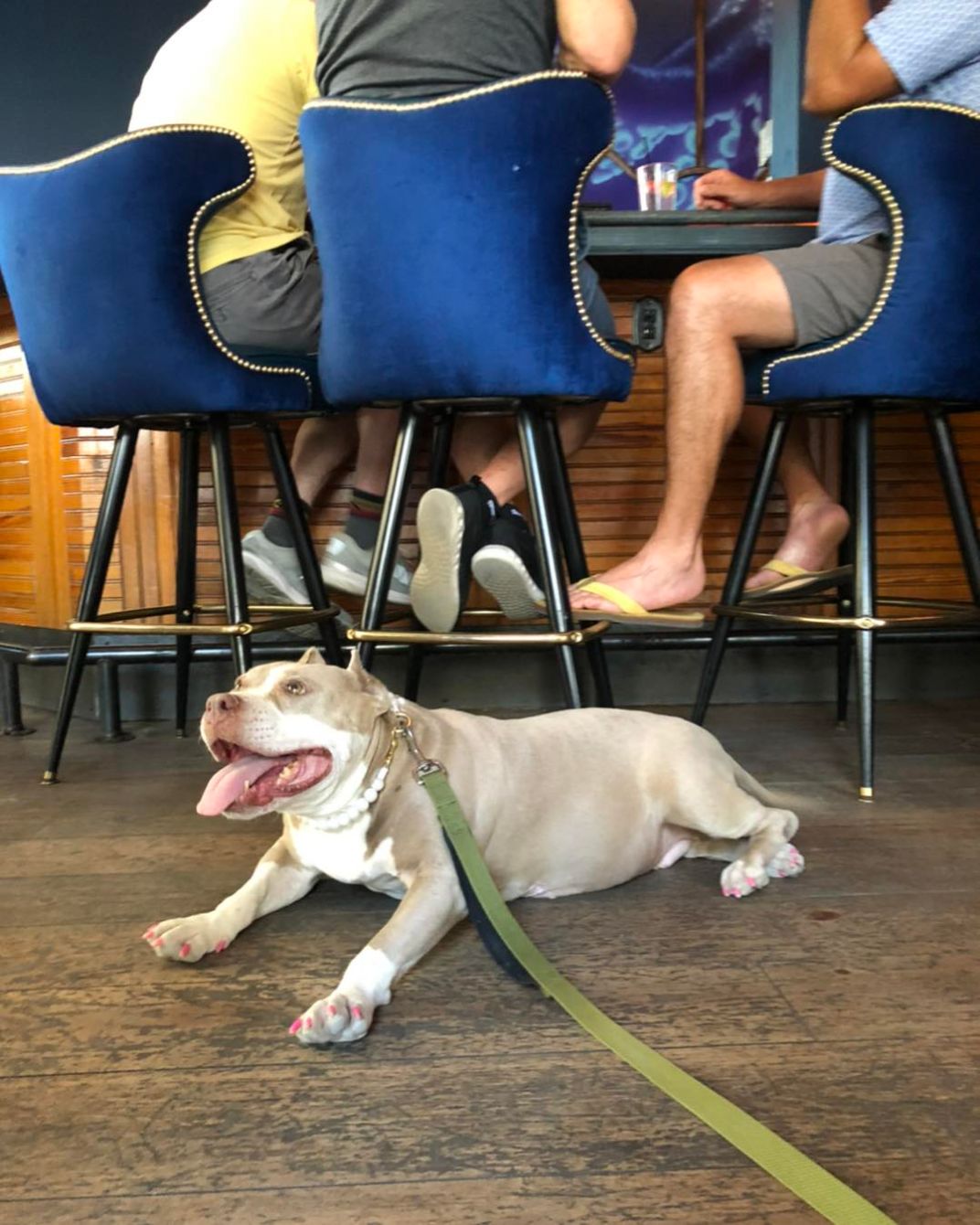 About the Let's Celebrate Betty! campaign on Bonfire 2