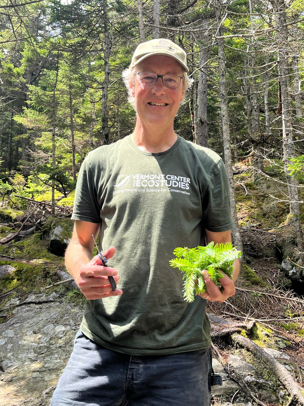 About the Bit O' Balsam for Bicknell's Thrush campaign on Bonfire 2