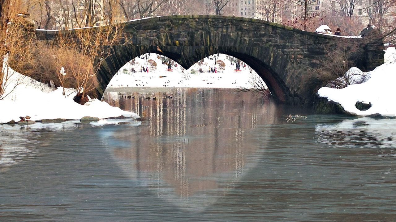 A Poem To The Resilience Of New York City Bonfire