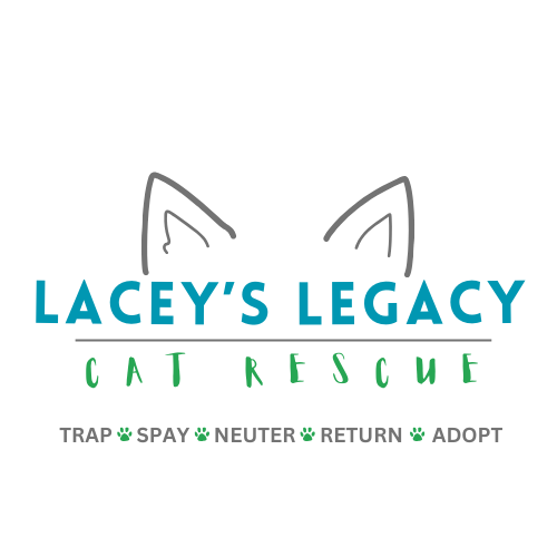 About the Lacey's Legacy Cats need YOUR Help! campaign on Bonfire 2