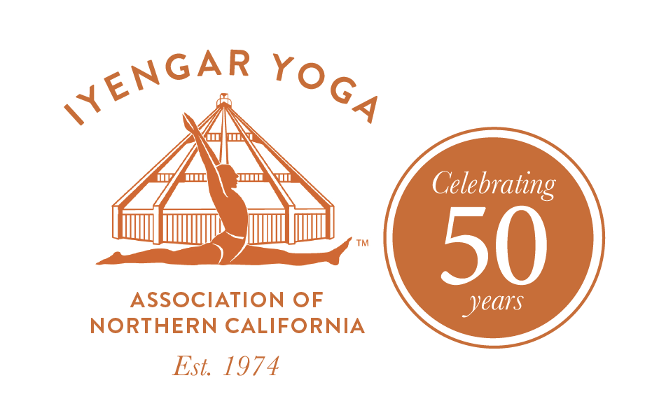 About the 50th Anniversary Fundraiser Tee campaign on Bonfire 2