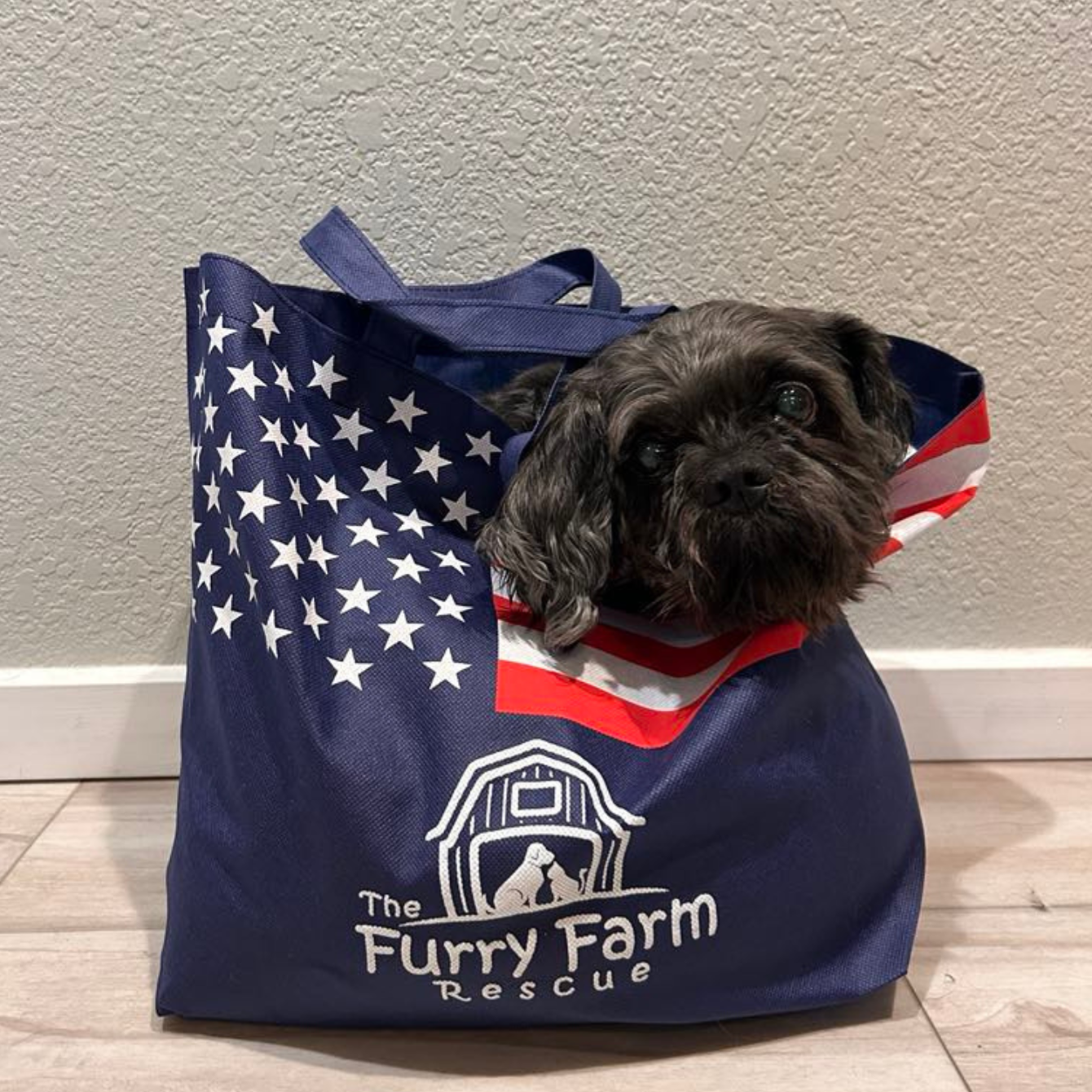 About the It's Hip to be Fixed! campaign on Bonfire 2