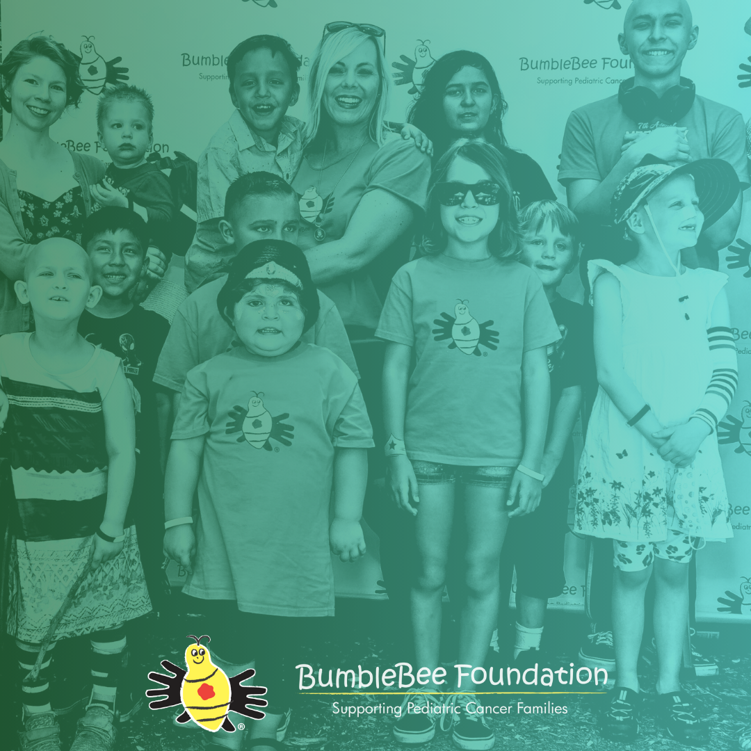 About the  campaign on Bonfire 2