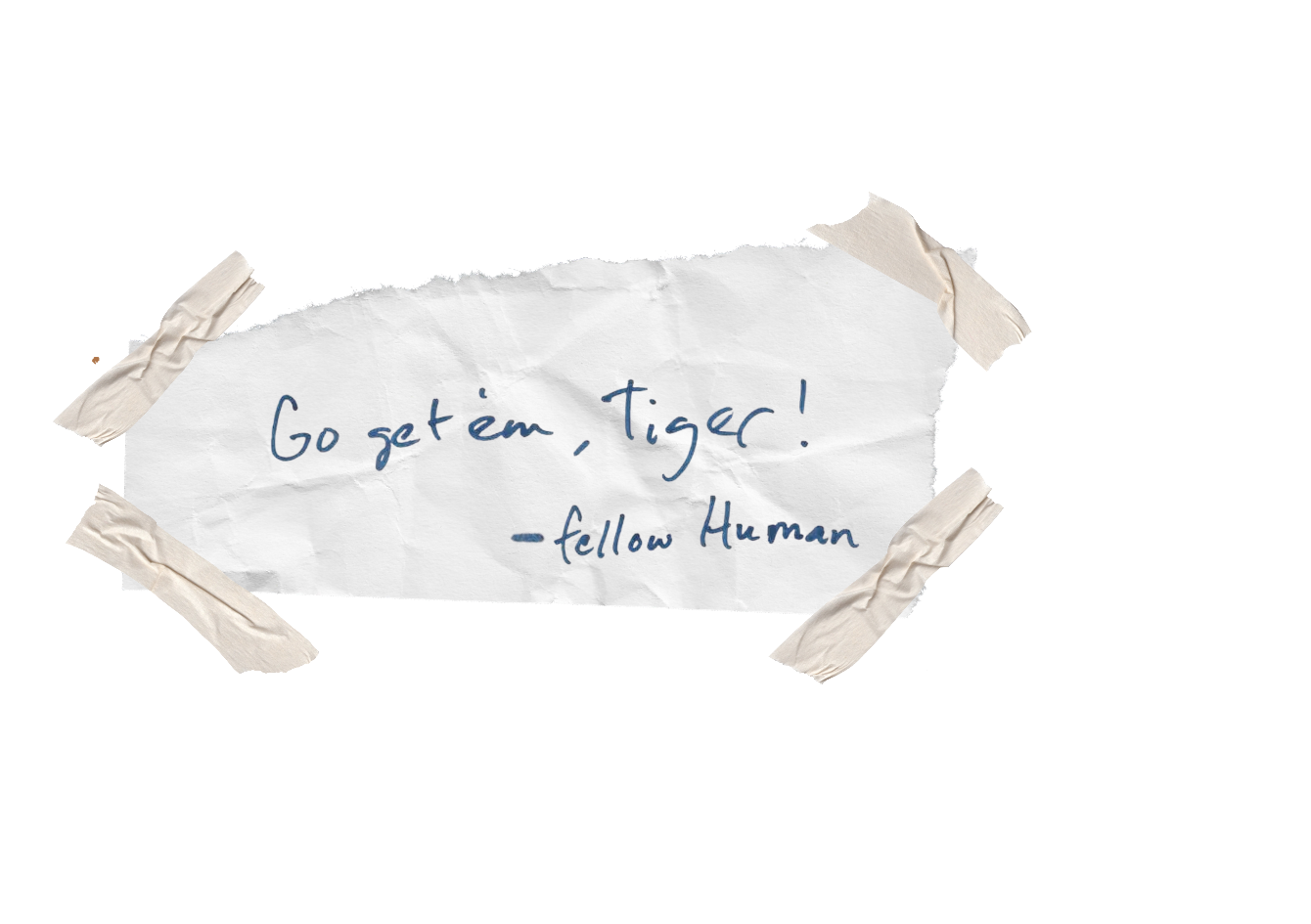 About the  campaign on Bonfire 2