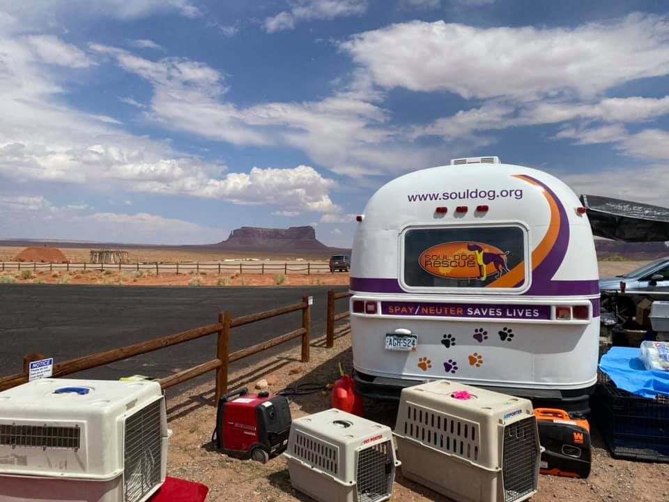 About the FYDA! campaign on Bonfire 2