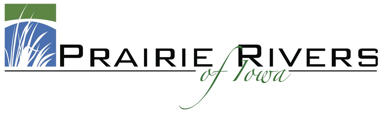 About the  campaign on Bonfire 2