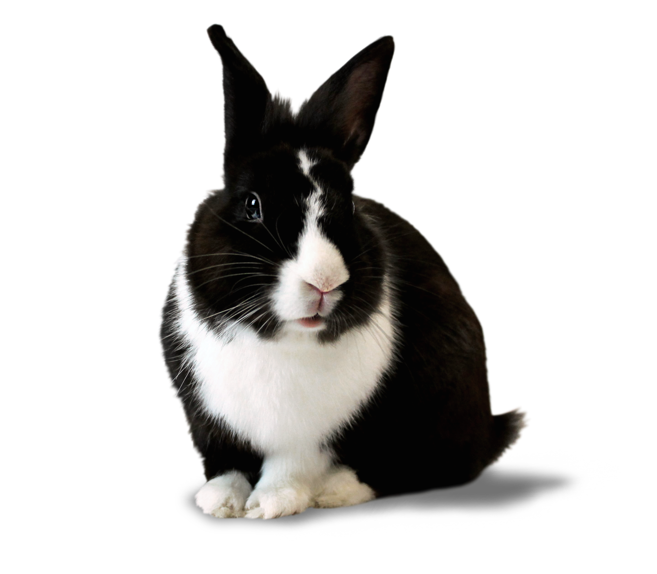 About the Change the World! campaign on Bonfire 2