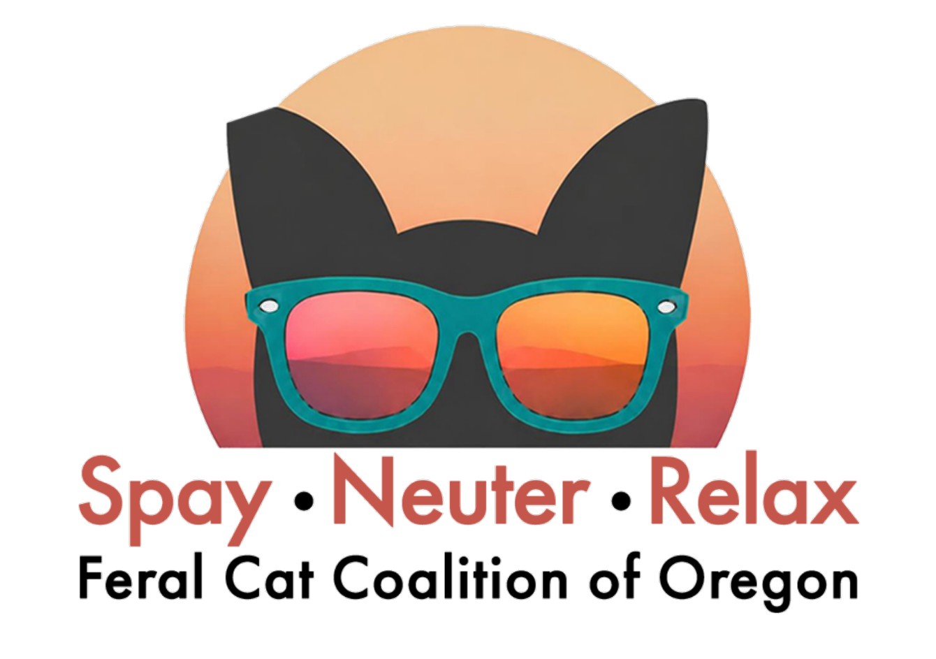 About the Spay Neuter Relax campaign on Bonfire 2