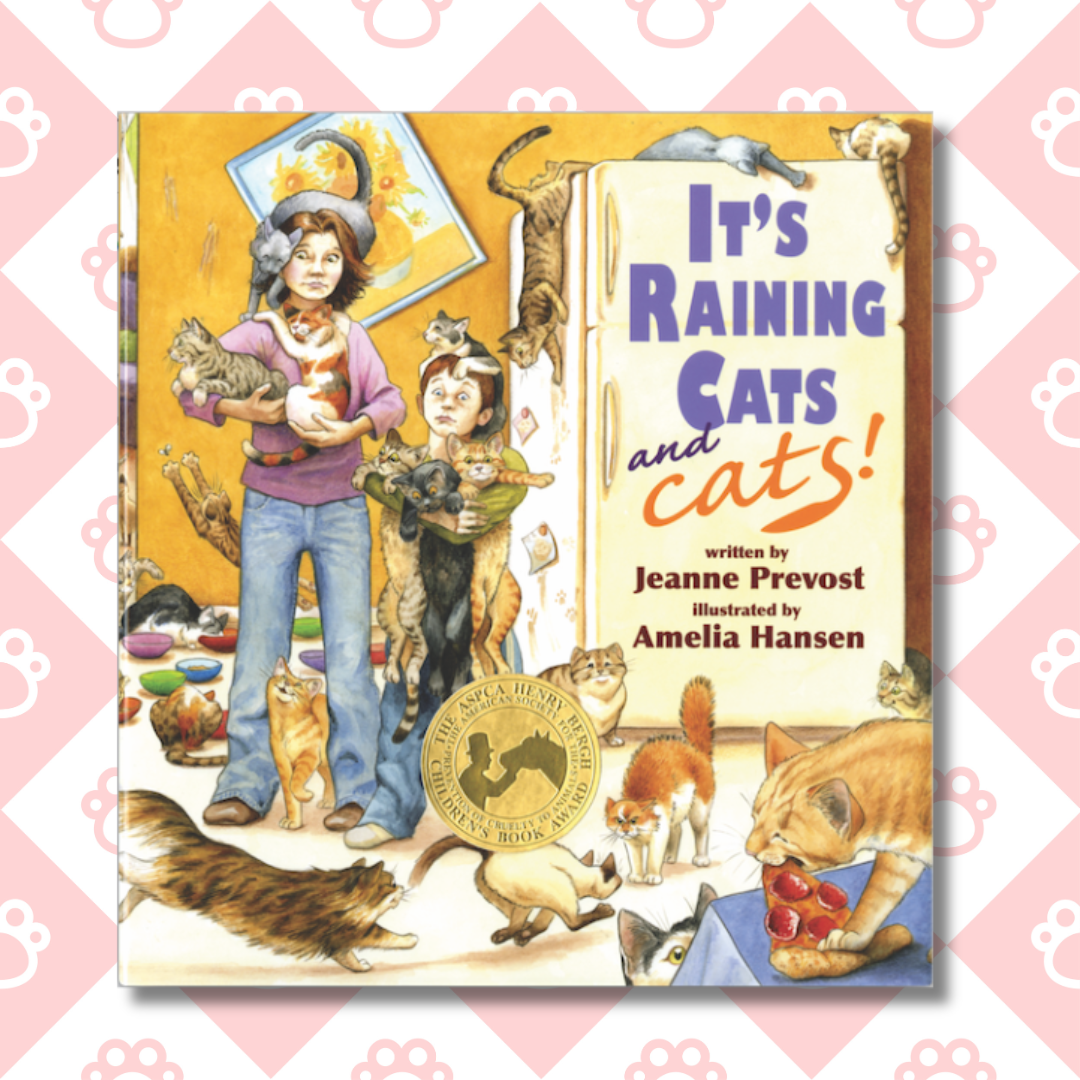 About the Teach Kindness (It's Raining Cats and Cats!) campaign on Bonfire 2