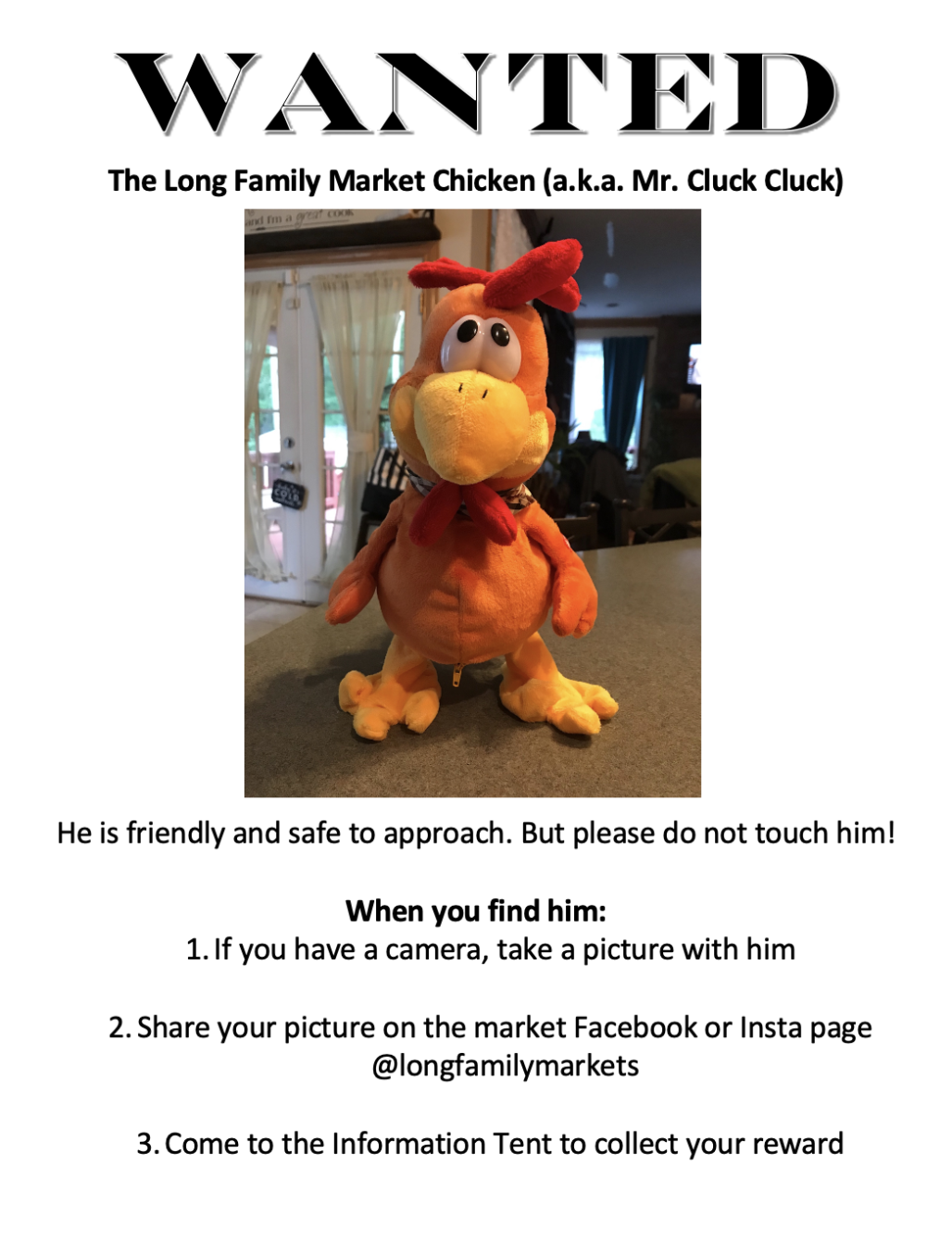 About the Chicken Hunt campaign on Bonfire 2