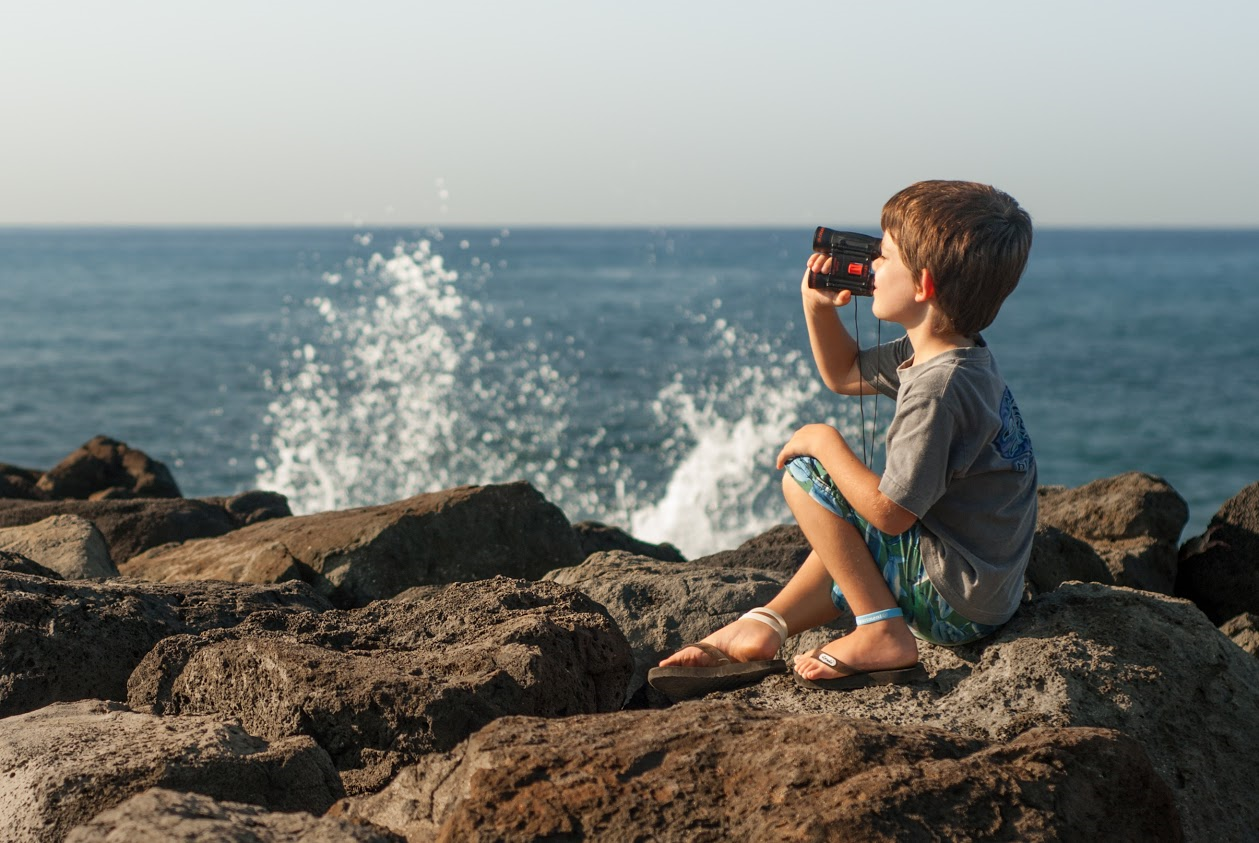 About the 2020 Sanctuary Ocean Count campaign on Bonfire 3