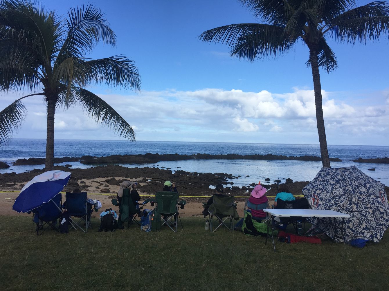 About the 2020 Sanctuary Ocean Count campaign on Bonfire 2