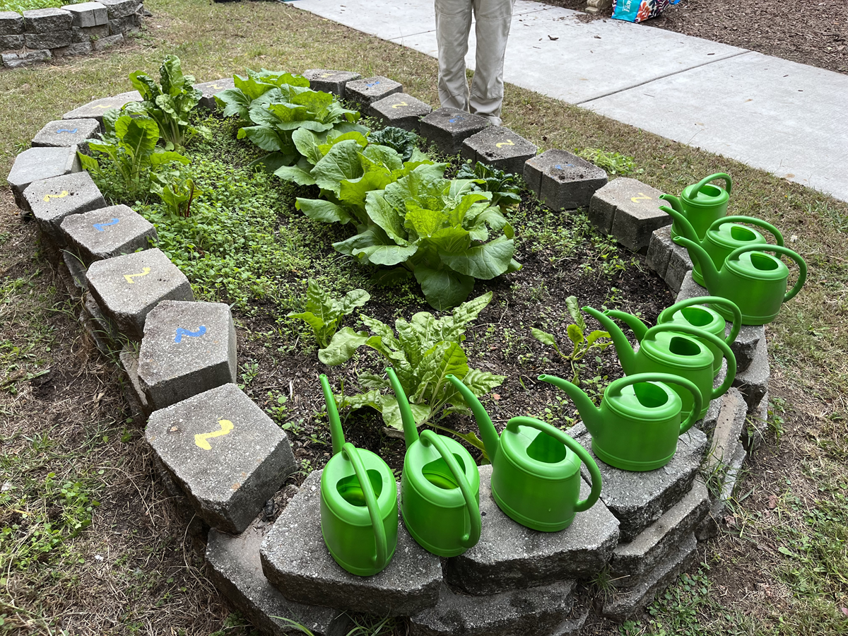 About the Let's grow more gardens in Atlanta! campaign on Bonfire 2