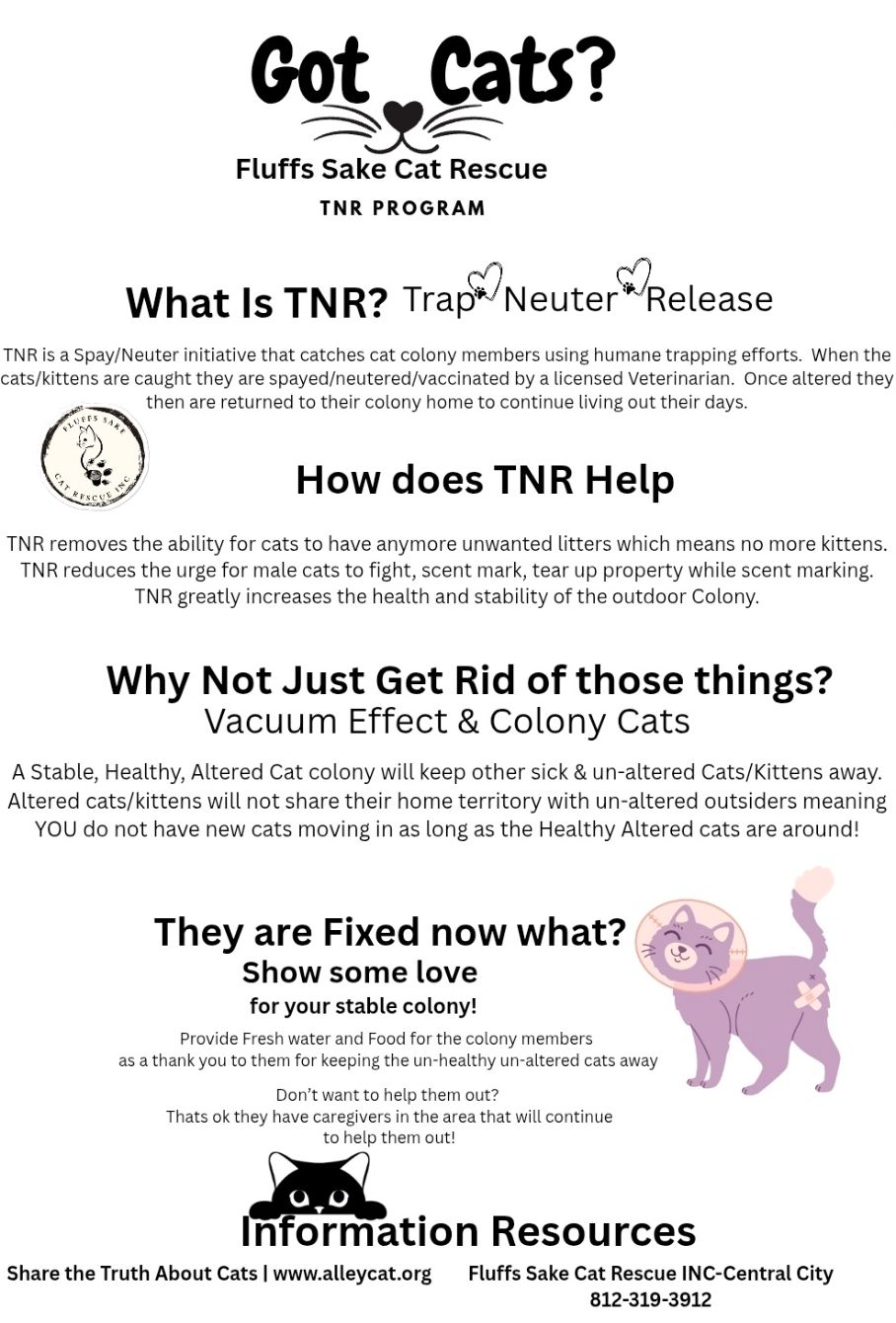 About the Spay & Neuter Everyone-TNR campaign on Bonfire 2