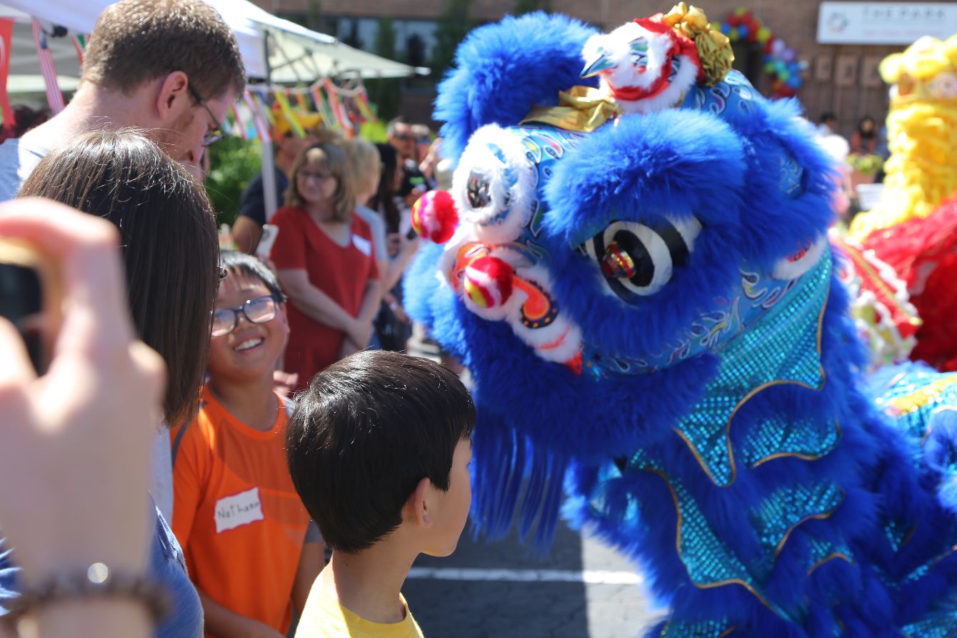 About the JCC Celebrates the Year of the Snake 2025 campaign on Bonfire 2