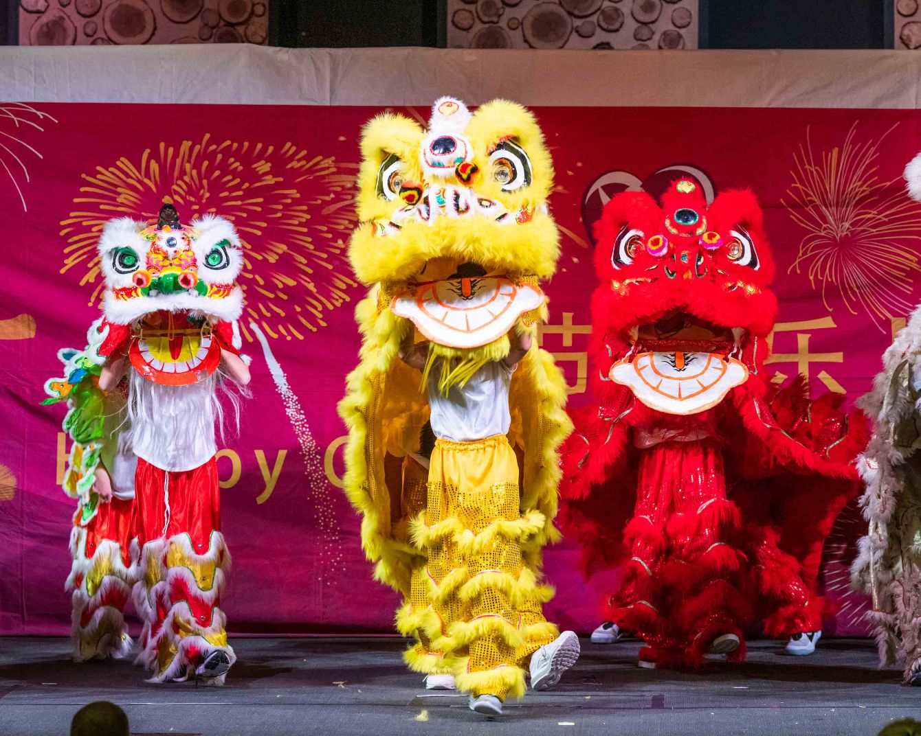 About the JCC Celebrates the Year of the Snake 2025 campaign on Bonfire 5