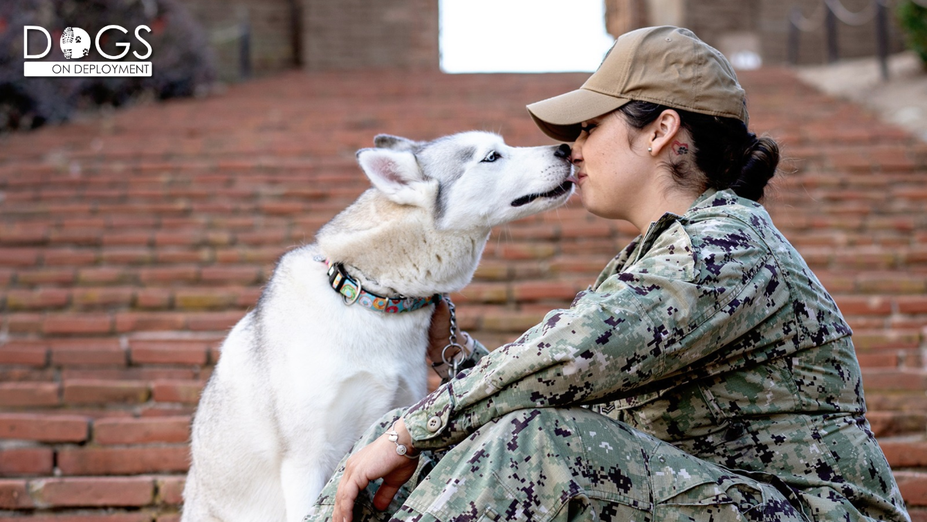 About the 2022-2023 DoD Mascot, Nala campaign on Bonfire 1
