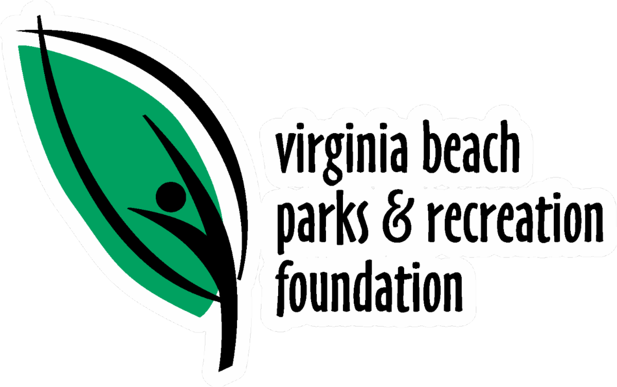 About the  campaign on Bonfire 2