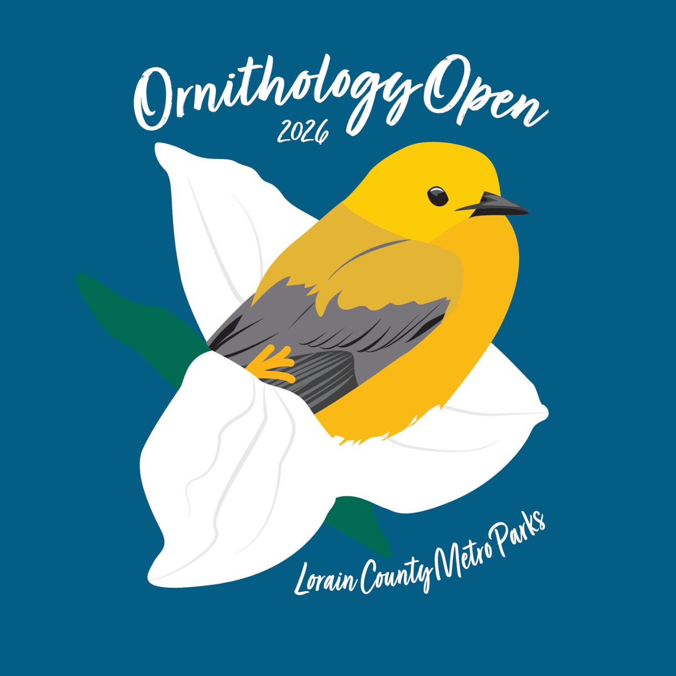 About the Ornithology Open: 2026 (large) campaign on Bonfire 2
