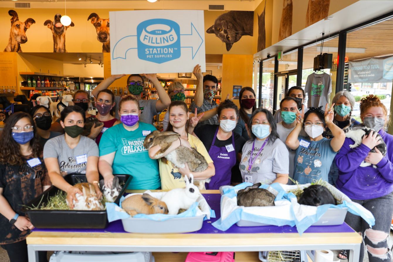 About the Rabbit Advocates-Adopt, Don't Shop 2021 campaign on Bonfire 2