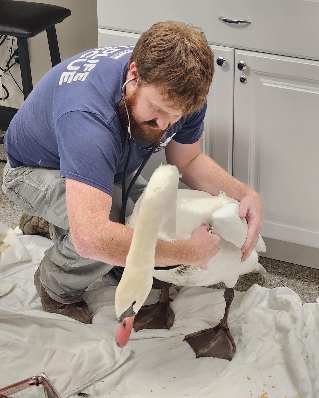 About the  campaign on Bonfire 3