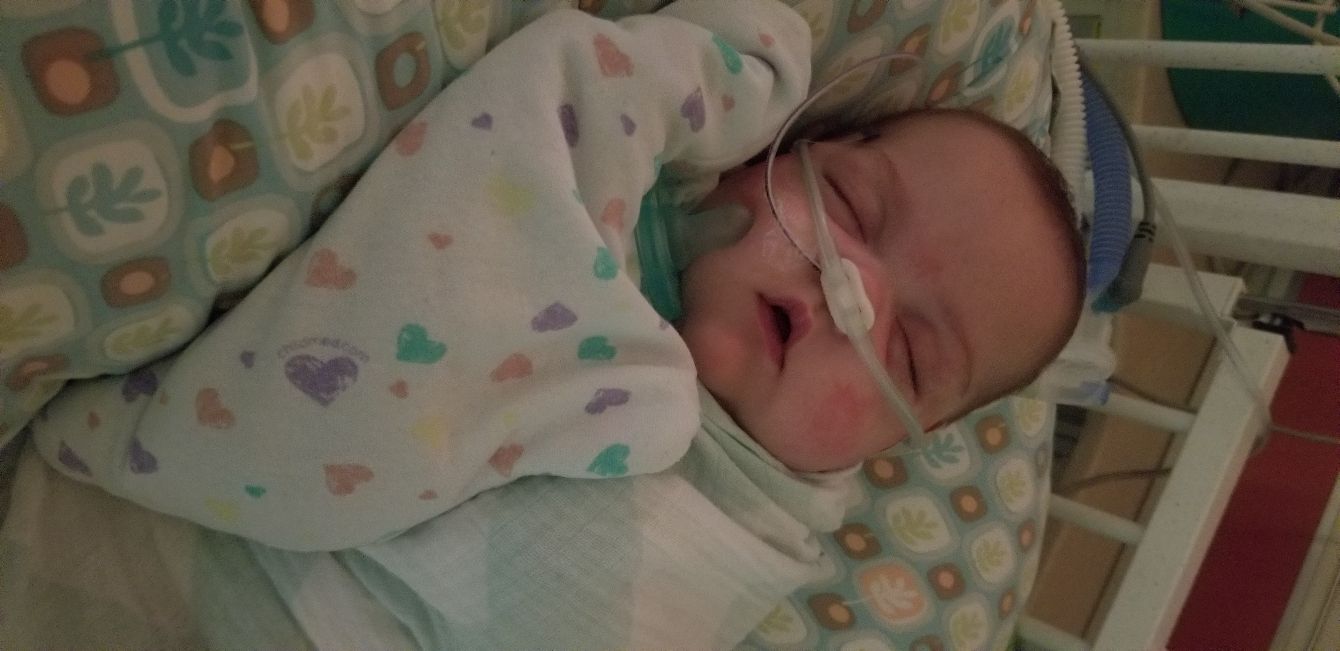 About the ?Everly Grace? campaign on Bonfire 0